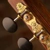 Sloane Classical Guitar Tuners With Ebony Knobs And Deco Baseplates - StewMac 1 Sloane Classical Guitar Tuners With Ebony Knobs And Deco Baseplates - StewMac -StewMac Shop 100666 installed 1500