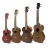 StewMac Ukulele Kits - StewMac 2 StewMac Ukulele Kits - StewMac -StewMac Shop 5351 3 3000