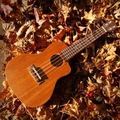 StewMac Cutaway Ukulele Kits - StewMac -StewMac Shop 5854 3 in use 2 1200